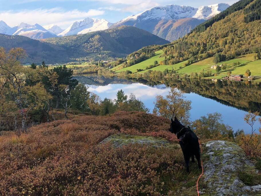 Minihus Med Drommeutsikt Til Sunnmorsalpene Apartment Aure  Bagian luar foto